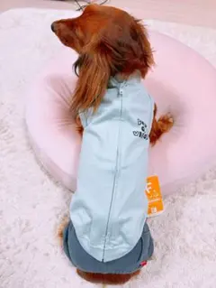 犬服 フルオブビガー ダックス DML 新品タグ付き