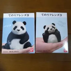 Item thumbnail for item 1bac9ce8-d5e4-47e3-916a-fbd6b1694f07