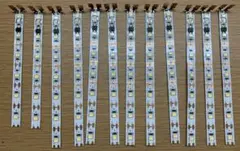 Item thumbnail for item b560887e-cc62-47a4-b52b-271fc71587e7