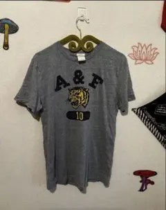 Abercrombie & Fitch Tシャツ グレー L
