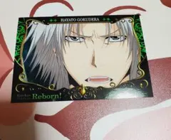 家庭教師ヒットマンREBORN! 獄寺隼人 カード ブロマイド