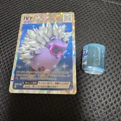 キンプリ　トレカ　IVY
