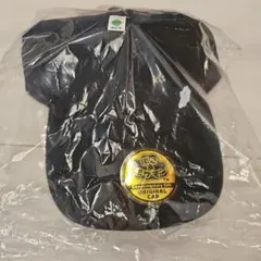 新品/未開封　ぽこあポケモン　特典キャップ