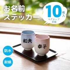 お名前ステッカー 10枚入 耐水 耐候 カッティングシート
