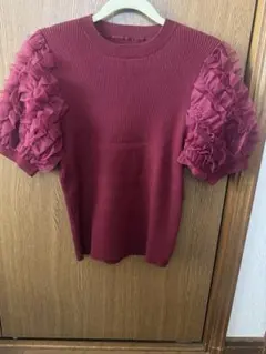 INGNI チュールフリル袖 半袖ニット ボルドー