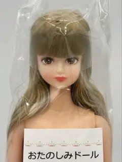 2025年最新】おたのしみドール シオンの人気アイテム - メルカリ