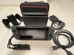 Nintendo switch 本体（グレー）※ケース付き