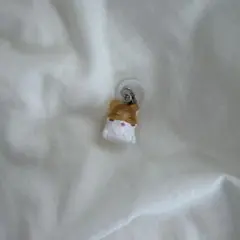 ハムスター倶楽部ガチャ