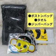 阪神タイガース ポケッタブルボストンバッグ＆タオル＆ジッパーバッグ