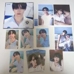 &TEAM　ニコラス　トレカ　青嵐　CD