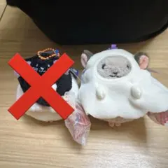 カルディ　なりきりチンチラマスコット　ハロウィン　　おばけのこのみ　Kaldi