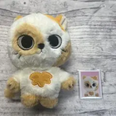 2025年最新】BOYNEXTDOOR ぬいぐるみ ソンホの人気アイテム - メルカリ