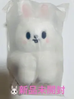 straykids 6期　ペンミ 韓国　バックパック　リノ　トレカなし straykids 6期 ペンミ 韓国 バックパック リノ トレカなし - メルカリ