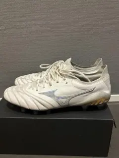 モレリアネオ3β27cm