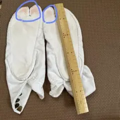 Item thumbnail for item aeb919d8-8a00-4be9-ac70-2acd3fb4b561