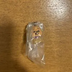 SKZOO めじるしアクセサリー　　HAN QUOKKA