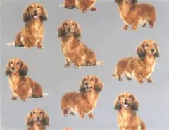 【ゆきちゃん限定】X2508-1 ミニチュアダックス レッド グレー 生地 1m