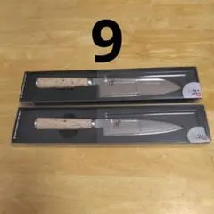 Item thumbnail for item 00f27f41-e2cb-47b7-9afd-d40920241345