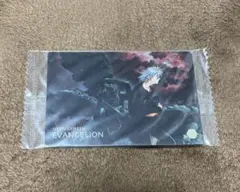 エヴァンゲリヲン　貞本義行　原画仕様カード　SSSP