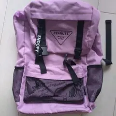 Item thumbnail for item d75076f0-4f6e-425f-9ed2-a967e7a177a3