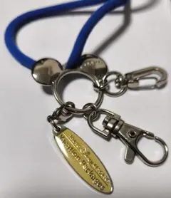 再値下)東京ディズニーリゾート バケーションパッケージ キーホルダー 2個セット