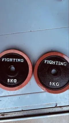 FIGHTING ダンベルプレート 10kg 2枚セット - メルカリ