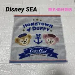 新品未使用　ディズニーシー　ダッフィーHometown of Duffy タオル