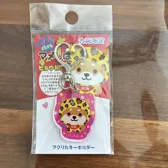 6最終値下げ！旅するマメしば 大阪限定〜ヒョウ柄