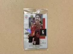 バレーボール日本代表ツインウエハース 関菜々巳 サイン入り
