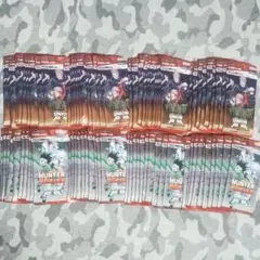 ユニオンアリーナ パックまとめ売り