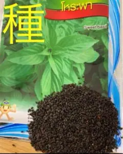 DinhLuan様 リクエスト 2点 まとめ商品