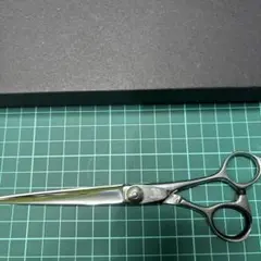 Item thumbnail for item 0d5e1262-83b4-4a5c-9307-3387530f27ab