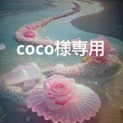 【coco様専用】aiai　デニム　＆　ＤＨ　ＴＲＡＤE　ブラウス　２点セット