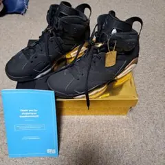 【最終価格になります】新品未使用ナイキ　エアジョーダン6レトロDMP　28.5
