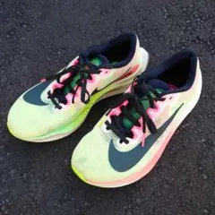 NIKE ZOOMFLY5 PREMIUM EKIDEN ズームフライ5 26㎝