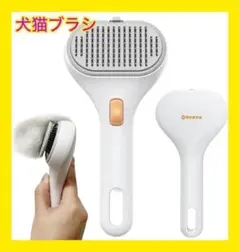 Item thumbnail for item 695b1881-5fb4-472e-9066-8092a2a1c04d