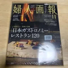 婦人画報　11月号 特別版　雑誌のみ