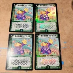 森の指揮官コアラ大佐 ホイル