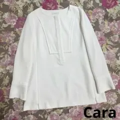 Item thumbnail for item c7e8aa31-1a1b-486e-a401-022c44f40b66