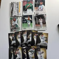 Item thumbnail for item e480145e-06a5-4ab9-b5ba-a9adb337f697