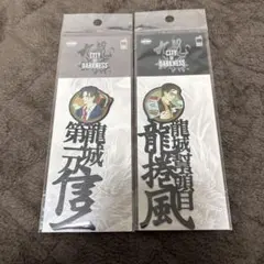 Item thumbnail for item b7573835-fabf-4892-85be-dcc9cbd9380e