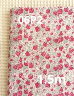 リバティ　アシュテッド　06P2 タナローン　1.5m