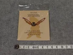 ディズニーストア デール ミサンガ