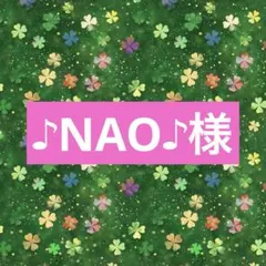 ♪NAO♪ご購入前プロフご一読下さい❤️様専用