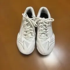 MIZUNO ミズノ バドミントンシューズ WAVE CLAW EL 2