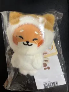 【限定値下】 ZB1 zeroni フォトホルダー　テュニニ　マシュー