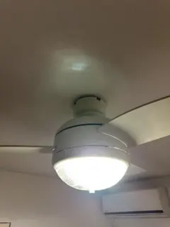 Item thumbnail for item 98e6b659-ebb0-4b14-8197-6dc6910a2e19