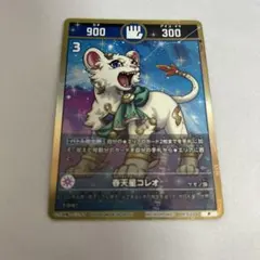 豚の角煮マン様 リクエスト 2点 まとめ商品