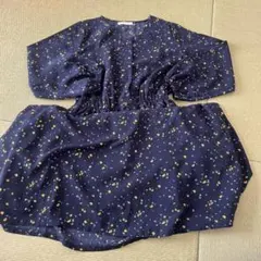 Item thumbnail for item e7477a1e-2bae-4809-b68d-46d7153ec450