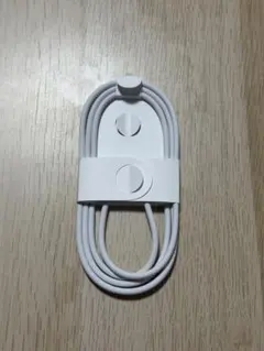 Apple純正 USB-C60W編み込み充電ケーブル